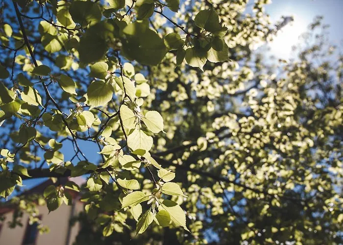 Gerbermuehle Отель Франкфурт-на-Майне